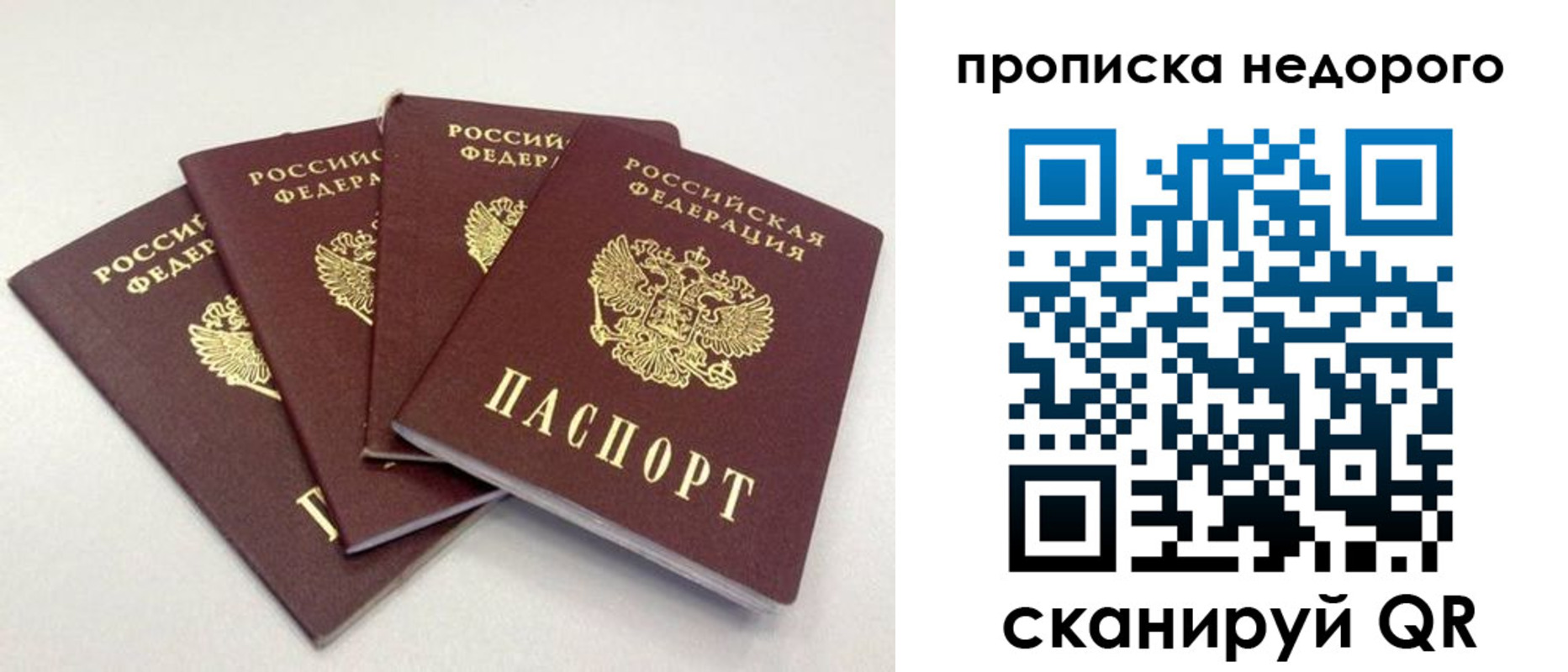 прописка законно в Щёкино